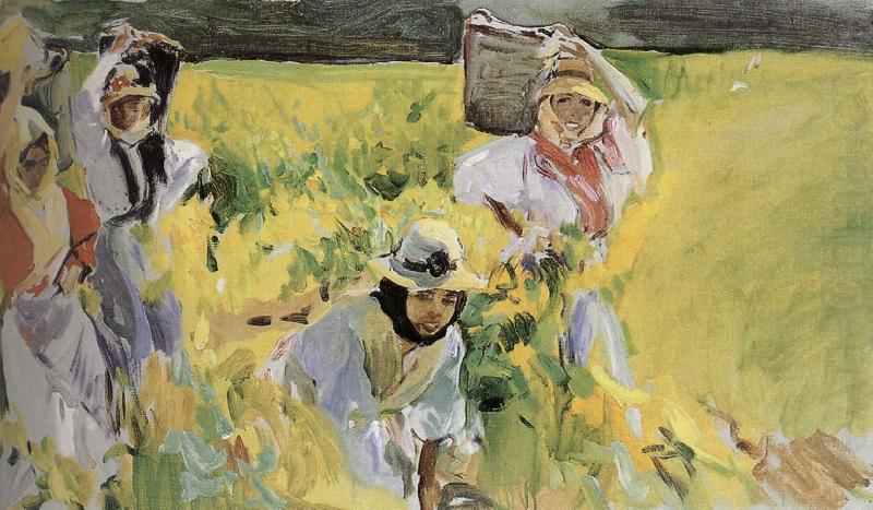 Joaquin Sorolla Sherry grape mining china oil painting image